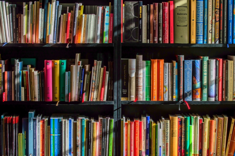magasin-REGUSSE-min_books_bookstore_book_reading_shop_writer_sale_books_read-822866